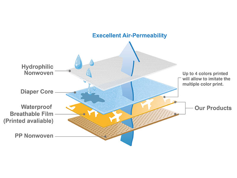 Baby Diaper  Backsheet